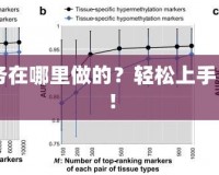 CF新手任務(wù)在哪里做的？輕松上手，快速成長！