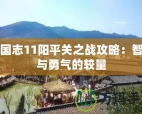 三國志11陽平關之戰(zhàn)攻略：智慧與勇氣的較量