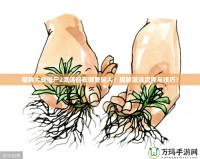 植物大戰(zhàn)僵尸2激活碼在哪里輸入？揭秘激活流程與技巧！