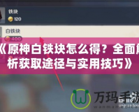 《原神白鐵塊怎么得？全面解析獲取途徑與實(shí)用技巧》
