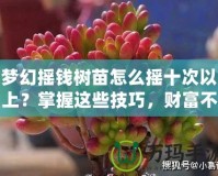 夢(mèng)幻搖錢樹苗怎么搖十次以上？掌握這些技巧，財(cái)富不再遙不可及！