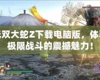 無雙大蛇Z下載電腦版，體驗極限戰(zhàn)斗的震撼魅力！