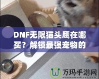 DNF無(wú)限貓頭鷹在哪買？解鎖最強(qiáng)寵物的購(gòu)買途徑與技巧！