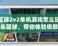 街頭籃球2v2單機(jī)游戲怎么玩？玩轉(zhuǎn)街頭籃球，帶你體驗(yàn)極致對抗！