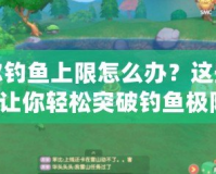 摩爾釣魚上限怎么辦？這些方法讓你輕松突破釣魚極限！