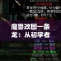 魔獸改圖一條龍：從初學者到高手，打造專屬于你的魔獸世界