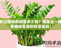 夢幻搖錢樹樹苗多少錢？揭秘這一神奇植物背后的財富密碼！