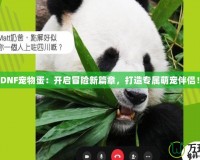 《DNF寵物蛋：開啟冒險新篇章，打造專屬萌寵伴侶！》