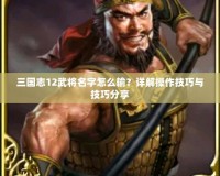 三國志12武將名字怎么輸？詳解操作技巧與技巧分享