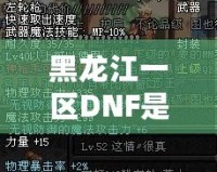 黑龍江一區(qū)DNF是跨幾？詳解DNF跨區(qū)與黑龍江一區(qū)的獨(dú)特魅力