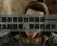 三國殺曹睿臺詞語錄——從君主到智者，曹睿的成長與領導之道