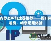 國內靜態(tài)IP加速器推薦——提升網絡速度，暢享無阻體驗