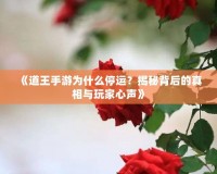 《道王手游為什么停運(yùn)？揭秘背后的真相與玩家心聲》