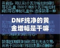 DNF純凈的黃金增幅是干嘛的？深度解析與玩法技巧