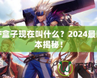 DNF盒子現(xiàn)在叫什么？2024最新版本揭秘！