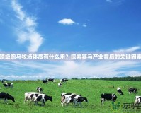 頂級(jí)跑馬牧場(chǎng)體質(zhì)有什么用？探索賽馬產(chǎn)業(yè)背后的關(guān)鍵因素