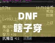 DNF瞎子穿什么甲？讓你秒變無(wú)敵的裝備選擇解析！