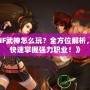 《DNF武神怎么玩？全方位解析，讓你快速掌握強力職業(yè)！》