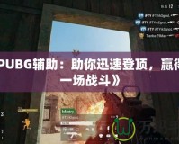 《PUBG輔助：助你迅速登頂，贏得每一場戰(zhàn)斗》