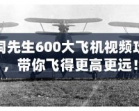 腦洞先生600大飛機(jī)視頻攻略，帶你飛得更高更遠(yuǎn)！