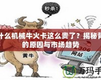 為什么機(jī)械?；鹂ㄟ@么貴了？揭秘背后的原因與市場趨勢