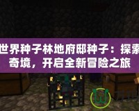 我的世界種子林地府邸種子：探索未知奇境，開(kāi)啟全新冒險(xiǎn)之旅