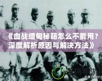 《血戰(zhàn)緬甸秘籍怎么不能用？深度解析原因與解決方法》