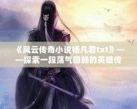 《風(fēng)云傳奇小說楊凡君txt》——探索一段蕩氣回腸的英雄傳奇