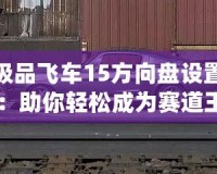 極品飛車(chē)15方向盤(pán)設(shè)置：助你輕松成為賽道王者的必備技巧