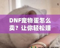 DNF寵物蛋怎么賣？讓你輕松賺取豐厚收益的實用技巧