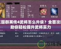 三國群英傳4武將怎么升級？全面攻略助你輕松提升武將實(shí)力