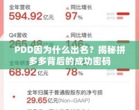 PDD因為什么出名？揭秘拼多多背后的成功密碼