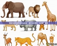 愛拍馬屁的動物是什么生肖？揭開生肖里的“馬屁精”秘密