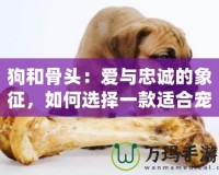 狗和骨頭：愛與忠誠的象征，如何選擇一款適合寵物的骨頭？