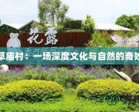 探秘草廟村：一場深度文化與自然的奇妙之旅