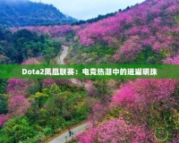 Dota2鳳凰聯(lián)賽：電競(jìng)熱潮中的璀璨明珠