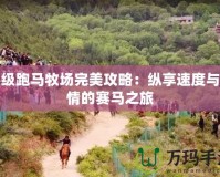 頂級(jí)跑馬牧場(chǎng)完美攻略：縱享速度與激情的賽馬之旅