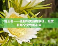 霸王花——堅(jiān)韌與美麗的象征，綻放在每個(gè)女性的心中