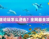 夢幻海底論壇怎么進去？全網(wǎng)最全攻略揭秘