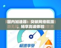 國內加速器：突破網絡瓶頸，暢享高速體驗