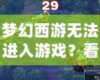 夢幻西游無法進(jìn)入游戲？看這里，解決方案一網(wǎng)打盡！