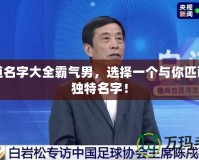 問道名字大全霸氣男，選擇一個(gè)與你匹配的獨(dú)特名字！