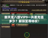 新天龍八部VIP9一共要充值多少？解鎖至尊特權(quán)！