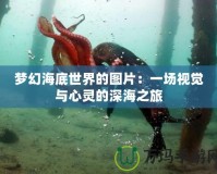 夢幻海底世界的圖片：一場視覺與心靈的深海之旅