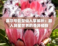 賽爾號(hào)巨型仙人掌解析：踏入異星世界的奇異植物