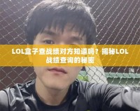 LOL盒子查戰(zhàn)績對方知道嗎？揭秘LOL戰(zhàn)績查詢的秘密