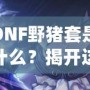 DNF野豬套是什么？揭開這套裝備的神秘面紗，助你征戰(zhàn)地下城！