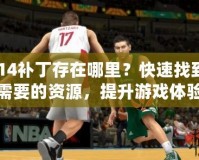 2K14補丁存在哪里？快速找到你需要的資源，提升游戲體驗