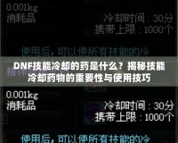 DNF技能冷卻的藥是什么？揭秘技能冷卻藥物的重要性與使用技巧