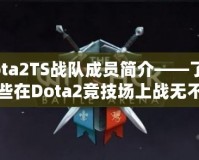 Dota2TS戰(zhàn)隊(duì)成員簡(jiǎn)介——了解那些在Dota2競(jìng)技場(chǎng)上戰(zhàn)無(wú)不勝的英雄